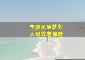 宁夏灵活就业人员养老保险