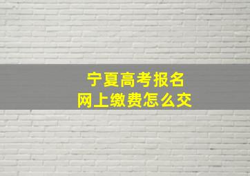 宁夏高考报名网上缴费怎么交