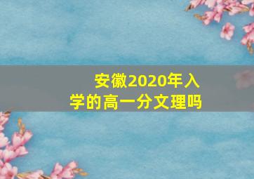 安徽2020年入学的高一分文理吗