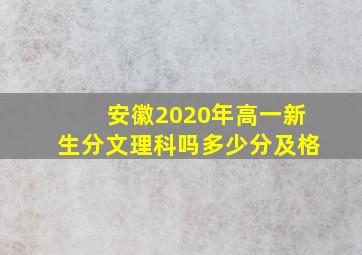 安徽2020年高一新生分文理科吗多少分及格