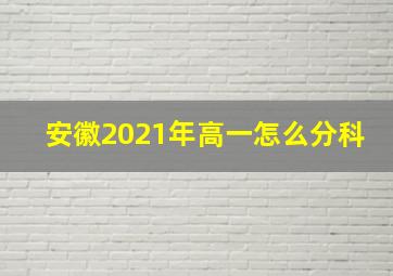 安徽2021年高一怎么分科