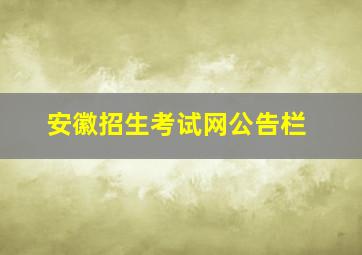 安徽招生考试网公告栏