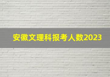 安徽文理科报考人数2023