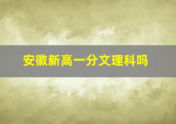 安徽新高一分文理科吗