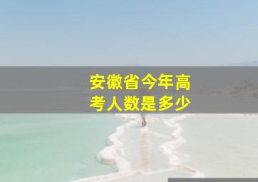 安徽省今年高考人数是多少