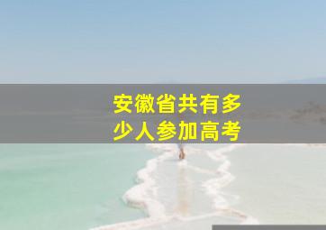 安徽省共有多少人参加高考