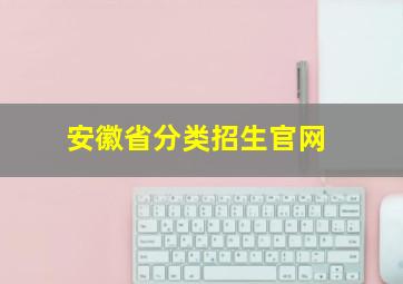 安徽省分类招生官网