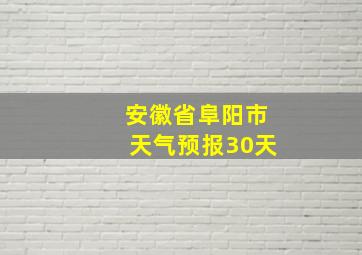 安徽省阜阳市天气预报30天