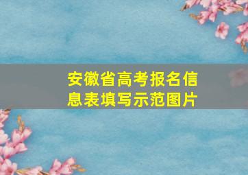 安徽省高考报名信息表填写示范图片