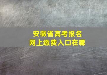 安徽省高考报名网上缴费入口在哪