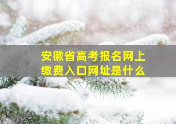 安徽省高考报名网上缴费入口网址是什么