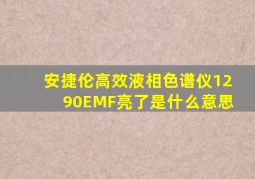 安捷伦高效液相色谱仪1290EMF亮了是什么意思