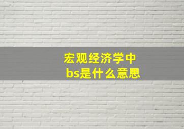 宏观经济学中bs是什么意思