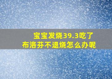 宝宝发烧39.3吃了布洛芬不退烧怎么办呢