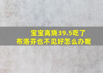 宝宝高烧39.5吃了布洛芬也不见好怎么办呢