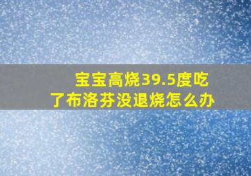 宝宝高烧39.5度吃了布洛芬没退烧怎么办