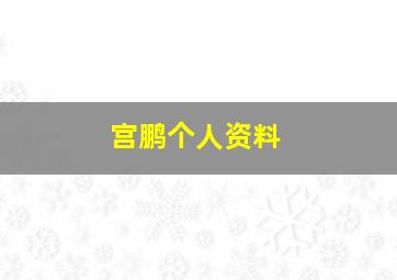 宫鹏个人资料