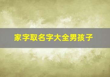 家字取名字大全男孩子