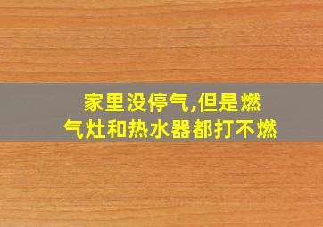 家里没停气,但是燃气灶和热水器都打不燃