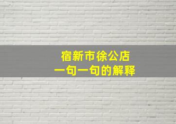 宿新市徐公店一句一句的解释