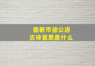 宿新市徐公店古诗意思是什么