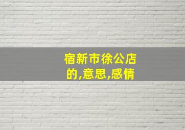 宿新市徐公店的,意思,感情