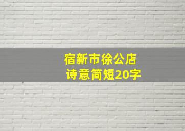 宿新市徐公店诗意简短20字