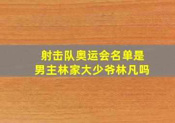 射击队奥运会名单是男主林家大少爷林凡吗