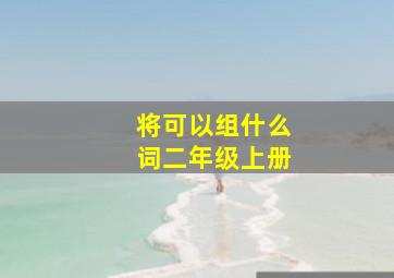 将可以组什么词二年级上册