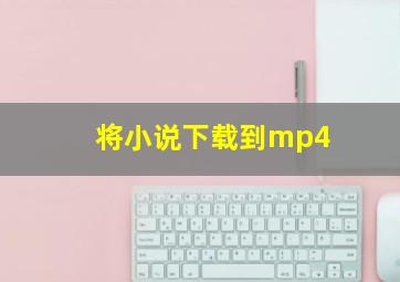 将小说下载到mp4