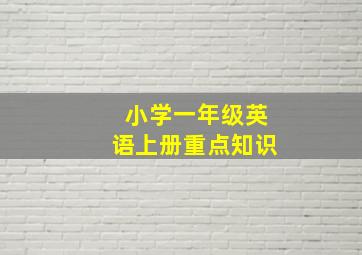 小学一年级英语上册重点知识