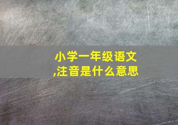 小学一年级语文,注音是什么意思