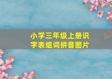 小学三年级上册识字表组词拼音图片