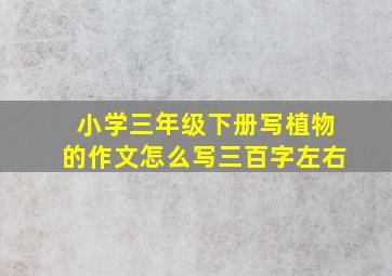 小学三年级下册写植物的作文怎么写三百字左右