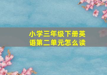 小学三年级下册英语第二单元怎么读