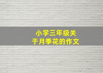 小学三年级关于月季花的作文