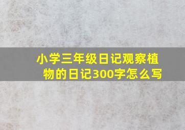 小学三年级日记观察植物的日记300字怎么写