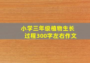 小学三年级植物生长过程300字左右作文