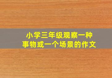 小学三年级观察一种事物或一个场景的作文