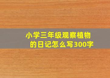 小学三年级观察植物的日记怎么写300字