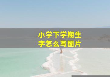 小学下学期生字怎么写图片