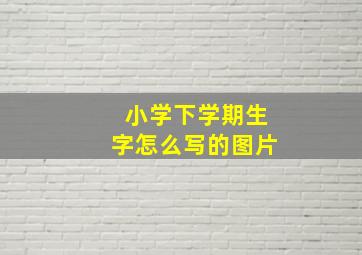 小学下学期生字怎么写的图片