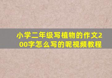 小学二年级写植物的作文200字怎么写的呢视频教程