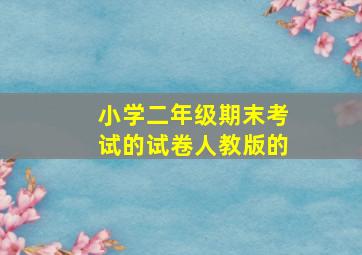 小学二年级期末考试的试卷人教版的