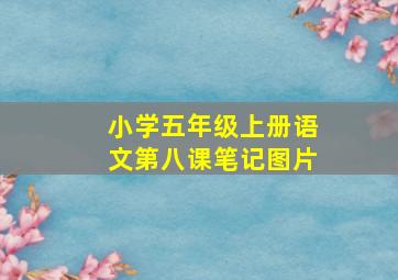 小学五年级上册语文第八课笔记图片