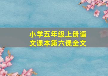 小学五年级上册语文课本第六课全文