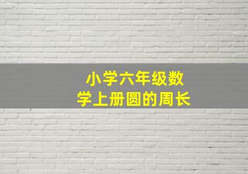 小学六年级数学上册圆的周长