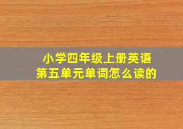 小学四年级上册英语第五单元单词怎么读的