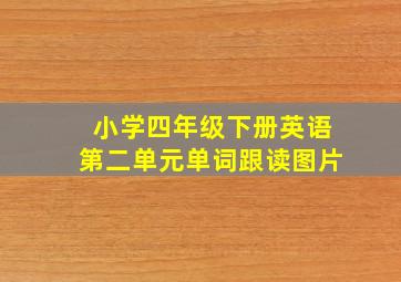 小学四年级下册英语第二单元单词跟读图片