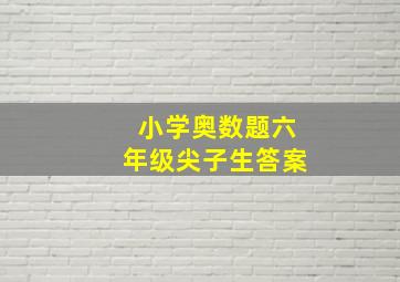 小学奥数题六年级尖子生答案